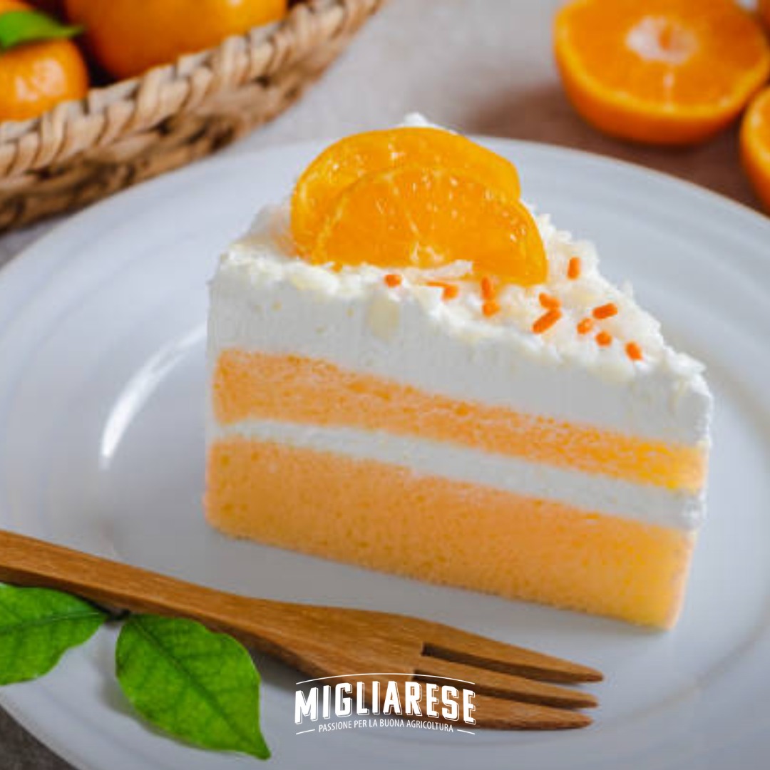 Image Slider
